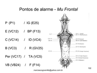 P (P1) / IG (E25)
E (VC12) / BP (F13)
C (VC14) / ID (VC4)
B (VC3) / R (GV25)
Per (VC17) / TA (VC5)
VB (VB24) / F (F14)
Pontos de alarme - Mu Frontal
102
marciascognamillo@yahoo.com.br
 