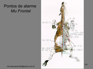 P – P1
IG – E 25
E – VC 12
BP – F 13
C – VC 14
B – VC 3
ID – VC4
TA– VC 5
VB–VB24
F—F14
R – VB 25
Pc-VC 17
Pontos de alarme
Mu Frontal
103
marciascognamillo@yahoo.com.br
 