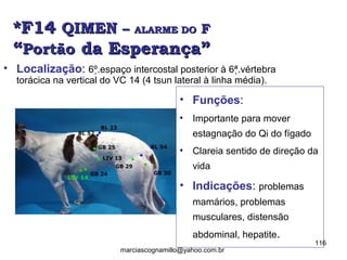 *F14*F14 QIMENQIMEN –– ALARME DOALARME DO FF
““PortãoPortão da Esperança”da Esperança”
• Localização: 6º.espaço intercostal posterior à 6ª.vértebra
torácica na vertical do VC 14 (4 tsun lateral à linha média).
• Funções:
• Importante para mover
estagnação do Qi do fígado
• Clareia sentido de direção da
vida
• Indicações: problemas
mamários, problemas
musculares, distensão
abdominal, hepatite.
116
marciascognamillo@yahoo.com.br
 