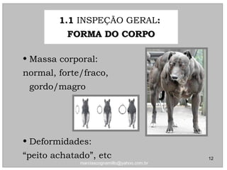 • Massa corporal:
normal, forte/fraco,
gordo/magro
• Deformidades:
“peito achatado”, etc
1.11.1 INSPEÇÃO GERAL::
FORMA DO CORPOFORMA DO CORPO
12
marciascognamillo@yahoo.com.br
 