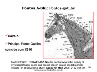 MACGREGOR, SCHWEINITZ. Needle electromyographic activity of
myofascial trigger points and control sites in equine cleidobrachialis
muscle--an observational study. Acupunct Med. 2006, 24 (2): 61-70.
Cavalo:Cavalo:
Principal Ponto GatilhoPrincipal Ponto Gatilho
coincide com IG16coincide com IG16
Pontos A-Shi:Pontos A-Shi: Pontos-gatilhoPontos-gatilho
124
marciascognamillo@yahoo.com.br
 