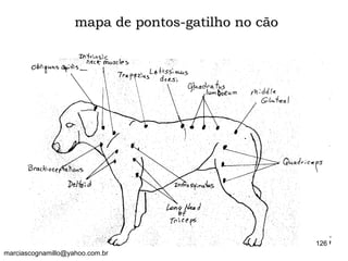 mapa de pontos-gatilho no cãomapa de pontos-gatilho no cão
126
marciascognamillo@yahoo.com.br
 