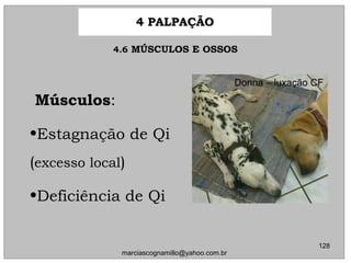MúsculosMúsculos::
•Estagnação de QiEstagnação de Qi
((excesso localexcesso local))
•Deficiência de QiDeficiência de Qi
Donna – luxação CF
4 PALPAÇÃO4 PALPAÇÃO
128
marciascognamillo@yahoo.com.br
4.64.6 MÚSCULOS E OSSOSMÚSCULOS E OSSOS
 