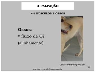 OssosOssos::
• fluxo de Qifluxo de Qi
((alinhamentoalinhamento))
Laila – sem diagnóstico
4.64.6 MÚSCULOS E OSSOSMÚSCULOS E OSSOS
4 PALPAÇÃO4 PALPAÇÃO
129
marciascognamillo@yahoo.com.br
 