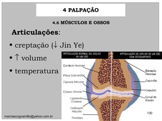 ArticulaçõesArticulações::
• creptação (creptação (↓↓ Jin Ye)Jin Ye)
• ↑↑ volumevolume
• temperaturatemperatura
4.64.6 MÚSCULOS E OSSOSMÚSCULOS E OSSOS
4 PALPAÇÃO4 PALPAÇÃO
130
marciascognamillo@yahoo.com.br
 