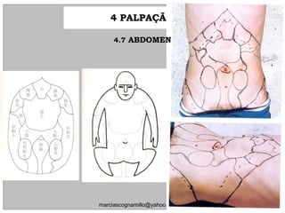 4 PALPAÇÃO4 PALPAÇÃO
132
marciascognamillo@yahoo.com.br
4.74.7 ABDOMENABDOMEN
 