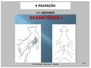 4 PALPAÇÃO4 PALPAÇÃO
135Prof Rodrigo Fagundes - Brasília
4.74.7 ABDOMENABDOMEN
 
