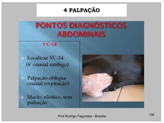 4 PALPAÇÃO4 PALPAÇÃO
136Prof Rodrigo Fagundes - Brasília
4.74.7 ABDOMENABDOMEN
 