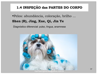 •Pelos: abundância, coloração, brilho ...Pelos: abundância, coloração, brilho ...
Shen (R), Jing, Xue, Qi, Jin YeShen (R), Jing, Xue, Qi, Jin Ye
1.4 INSPEÇÃO das PARTES DO CORPO1.4 INSPEÇÃO das PARTES DO CORPO
Diagnóstico diferencial: pulso, língua, anamnese
17
marciascognamillo@yahoo.com.br
 