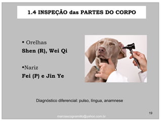 • OrelhasOrelhas
Shen (R), Wei QiShen (R), Wei Qi
•NarizNariz
Fei (P) e Jin YeFei (P) e Jin Ye
1.4 INSPEÇÃO das PARTES DO CORPO1.4 INSPEÇÃO das PARTES DO CORPO
Diagnóstico diferencial: pulso, língua, anamnese
19
marciascognamillo@yahoo.com.br
 