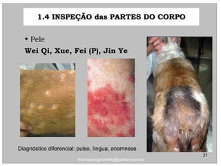 • PelePele
Wei Qi, Xue, Fei (P), Jin YeWei Qi, Xue, Fei (P), Jin Ye
Diagnóstico diferencial: pulso, língua, anamnese
1.4 INSPEÇÃO das PARTES DO CORPO1.4 INSPEÇÃO das PARTES DO CORPO
21
marciascognamillo@yahoo.com.br
 