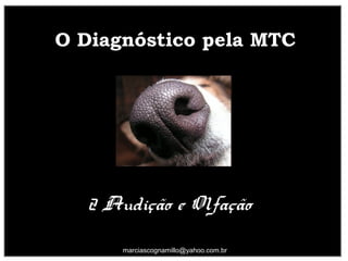 O Diagnóstico pela MTCO Diagnóstico pela MTC
2 Audição e Olfação
22
marciascognamillo@yahoo.com.br
 