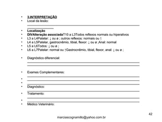 • 3.INTERPRETAÇÃO3.INTERPRETAÇÃO
• Local da lesão:Local da lesão:
________________________________________________________________________________________________________________________________
______________________________
• LocalizaçãoLocalização
• DIVAlteração associadaDIVAlteração associadaT10 a L3Todos reflexos normais ou hiperativosT10 a L3Todos reflexos normais ou hiperativos
• L3 a L4Patelar: ↓ ou ø ; outros reflexos: normais ou ↑L3 a L4Patelar: ↓ ou ø ; outros reflexos: normais ou ↑
• L4 a L5Patelar, gastrocnêmio, tibial, flexor: ↓ ou ø ;Anal: normalL4 a L5Patelar, gastrocnêmio, tibial, flexor: ↓ ou ø ;Anal: normal
• L5 a L6Todos: ↓ ou ø ;L5 a L6Todos: ↓ ou ø ;
• L6 a L7Patelar: normal ou ↑Gastrocnêmio, tibial, flexor, anal: ↓ ou ø ;L6 a L7Patelar: normal ou ↑Gastrocnêmio, tibial, flexor, anal: ↓ ou ø ;
• Diagnóstico diferencial:Diagnóstico diferencial:
________________________________________________________________________________________________________________________________
________________________________________________________________________________________________________________________________
• Exames Complementares:Exames Complementares:
________________________________________________________________________________________________________________________________
• ________________________________________________________________________________________________________________________________
• ________________________________________________________________________________________________________________________________
• Diagnóstico:Diagnóstico:
________________________________________________________________________________________________________________________________
• Tratamento:Tratamento:
________________________________________________________________________________________________________________________________
• ________________________________________________________________________________________________________________________________
• Médico Veterinário:Médico Veterinário:
42
marciascognamillo@yahoo.com.br
 