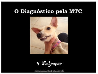 O Diagnóstico pela MTCO Diagnóstico pela MTC
4 Palpação
44
marciascognamillo@yahoo.com.br
 