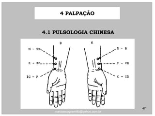 4.1 PULSOLOGIA CHINESA4.1 PULSOLOGIA CHINESA
4 PALPAÇÃO4 PALPAÇÃO
47
marciascognamillo@yahoo.com.br
 