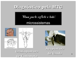Diagnóstico pela MTCDiagnóstico pela MTC
“Uma parte reflete o todo‘:
microssistemas
CraniopunturaCraniopuntura
de Yamamotode Yamamoto
AcupunturaAcupuntura
de Caudade Cauda 6
 