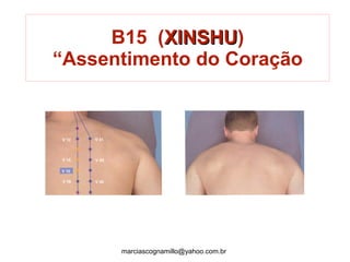 B15 (XINSHUXINSHU)
“Assentimento do Coração
marciascognamillo@yahoo.com.br
 