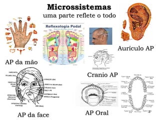 MicrossistemasMicrossistemas
uma parte reflete o todouma parte reflete o todo
Cranio APCranio AP
AP OralAP Oral
Aurículo APAurículo AP
AP da faceAP da face
AP da mãoAP da mão
7
 