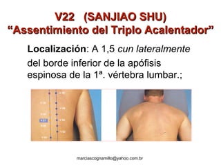 V22 (SANJIAO SHU)V22 (SANJIAO SHU)
“Assentimiento del Triplo Acalentador”“Assentimiento del Triplo Acalentador”
Localización: A 1,5 cun lateralmente
del borde inferior de la apófisis
espinosa de la 1ª. vértebra lumbar.;
marciascognamillo@yahoo.com.br
 
