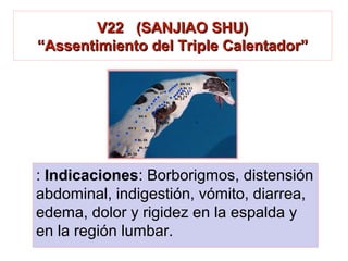 : Indicaciones: Borborigmos, distensión
abdominal, indigestión, vómito, diarrea,
edema, dolor y rigidez en la espalda y
en la región lumbar.
V22 (SANJIAO SHU)V22 (SANJIAO SHU)
“Assentimiento del Triple Calentador”“Assentimiento del Triple Calentador”
 
