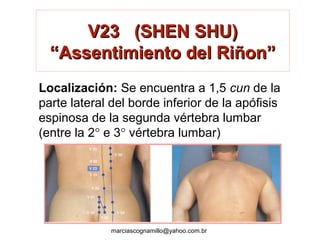 V23 (SHEN SHU)V23 (SHEN SHU)
“Assentimiento del Riñon”“Assentimiento del Riñon”
Localización: Se encuentra a 1,5 cun de la
parte lateral del borde inferior de la apófisis
espinosa de la segunda vértebra lumbar
(entre la 2° e 3° vértebra lumbar)
marciascognamillo@yahoo.com.br
 