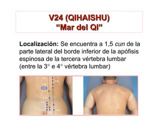 V24 (QIHAISHU)V24 (QIHAISHU)
“Mar del QI”“Mar del QI”
Localización: Se encuentra a 1,5 cun de la
parte lateral del borde inferior de la apófisis
espinosa de la tercera vértebra lumbar
(entre la 3° e 4° vértebra lumbar)
 