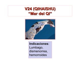 V24 (QIHAISHU)V24 (QIHAISHU)
“Mar del QI”“Mar del QI”
Indicaciones:
Lumbago,
dismenorrea,
hemorroides
 