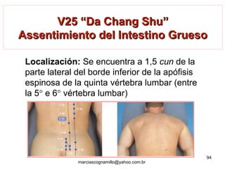 V25 “Da Chang Shu”V25 “Da Chang Shu”
Assentimiento del Intestino GruesoAssentimiento del Intestino Grueso
Localización: Se encuentra a 1,5 cun de la
parte lateral del borde inferior de la apófisis
espinosa de la quinta vértebra lumbar (entre
la 5° e 6° vértebra lumbar)
94
marciascognamillo@yahoo.com.br
 