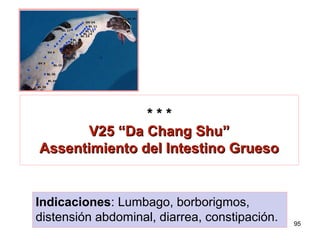 * * ** * *
V25 “Da Chang Shu”V25 “Da Chang Shu”
Assentimiento del Intestino GruesoAssentimiento del Intestino Grueso
Indicaciones: Lumbago, borborigmos,
distensión abdominal, diarrea, constipación. 95
 