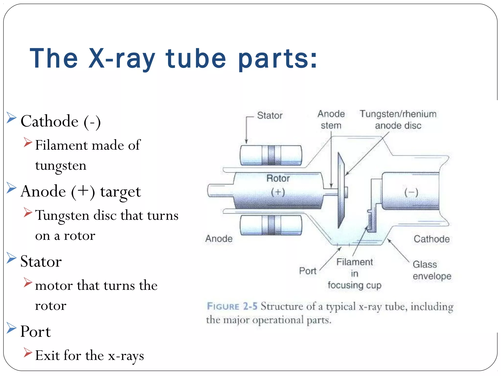 The X-ray tube parts:
Cathode (-)
Filament made of
tungsten
Anode (+) target
Tungsten disc that turns
on a rotor
Stator
motor that turns the
rotor
Port
Exit for the x-rays
 