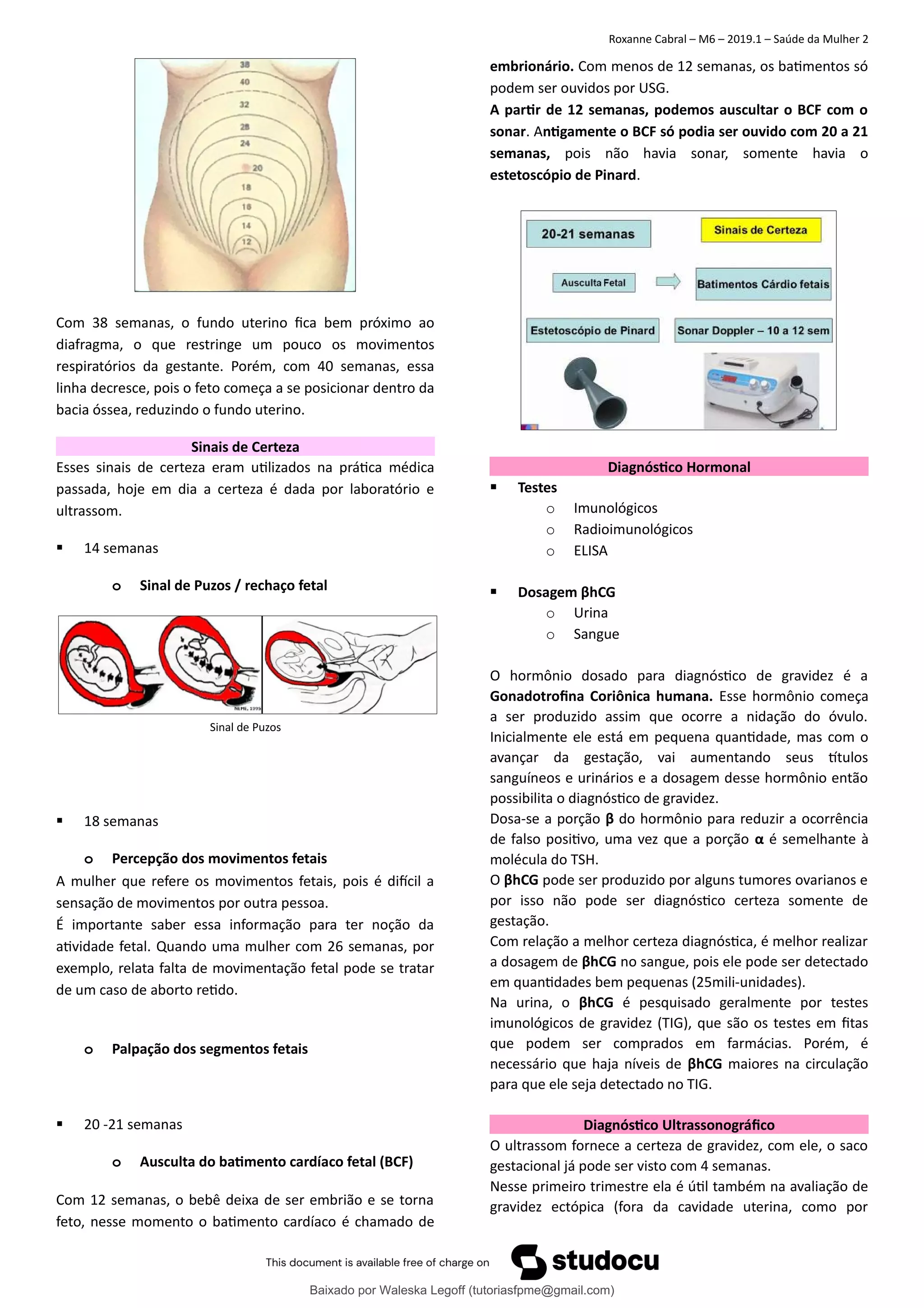 Diagnostico-de-gravidez.pdf