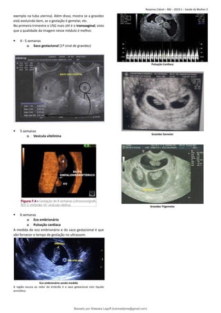 Diagnostico-de-gravidez.pdf