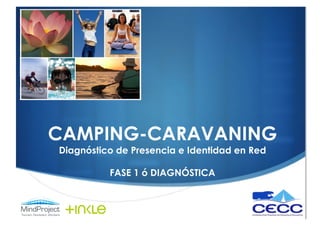 CAMPING-CARAVANING
Diagnóstico de Presencia e Identidad en Red

          FASE 1 ó DIAGNÓSTICA
 