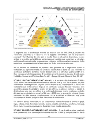 REVISIÓN Y AJUSTE EOT MUNICIPIO DE SUBACHOQUE
                                                       DOCUMENTO DE DIAGNÓSTICO




Fuente: Centro Científico Tropical


El diagrama para la clasificación mundial de zona de vida de HOLDRIDGE, muestra los
ecosistemas presentes y su relación con la regiones altitudinales, con la evaporación
potencial y la influencia de estos con el medio físico en el cual se desarrollan, en este
sentido el propósito del análisis de las formaciones vegetales que conforman la estructura
ecológica del municipio debe propender por establecer políticas para la conservación de los
ecosistemas naturales existentes y la recuperación de los ecosistemas alterados.

Por lo anterior se identifican los aspectos más generales de la vegetación, como su
tipificación, su representatividad por unidades bioclimáticas o zonas de vida teniendo en
cuenta que los factores climáticos inciden directamente en la estructura y composición de la
flora y marca características propias. El municipio presenta dos clases de zona de vida según
Holdridge: Bosque seco Montano Bajo (bs-MB) y Bosque húmedo Montano Bajo (bh-MB)

BOSQUE SECO-MONTANO BAJO (bs-MB) : Se encuentra localizada entre 2.000 y
3.000 msnm, con variaciones microclimáticas entre los 12ºC y 18ºC de acuerdo a los pisos
altitudinales, con temperaturas un poco cálidas durante el día, descienden en la noche, con
oscilaciones que en los veranos llegan a ser acentuadas y causan heladas y escarchas cuya
aparición produce desvastadores efectos en los cultivos, en algunos sectores es posible la
deficiencia de agua para los cultivos si se prolonga la época de verano en algunos períodos
del año. con precipitaciones entre los 500 mm y 1000 mm. La vegetación primaria de esta
formación ha sido alterada completamente. En la actualidad se observan muy pocas
asociaciones de árboles y algunas áreas de cultivos de subsistencia.

Los terrenos de esta formación por sus características bióticas favorece el cultivo de papa,
trigo, cebada, maíz, hortalizas (cebolla, alverja, repollo, remolacha, zanahoria, lechuga),
flores, frutas (manzano, ciruela, pera, duraznos, fresas, curuba, papatuela).

BOSQUE HUMEDO- MONTANO BAJO (bh-MB) : Zona de vida arbórea localizada
en el piedemonte, con una temperatura media entre los 12-18ºC y una precipitación media

                                             40
MUNICIPIO DE SUBACHOQUE                                                         CIDETER LTDA.
 