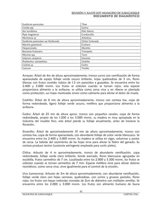 REVISIÓN Y AJUSTE EOT MUNICIPIO DE SUBACHOQUE
                                                       DOCUMENTO DE DIAGNÓSTICO


Escallonia paniculata                         Tibar
Cordia spp                                    Gomo
Ilex kundtiana                                Palo blanco
Piper bogotense                               Cordoncillo
Montanoa sp                                   Arboloco
Escallonia paniculata var floribunda          Chilco Colorado
Myrsine guianensis                            Cucharo
Hesperomeles                                  Mortiño
Bocconia frutescens                           Trompeto
Miconia spp                                   Tuno
Solanum caripense                             Llorones
Phyllanthus salviaefolius                     Cedrillo
Cedrela sp                                    Cedro
Cestrum                                       Tintillo


Arrayan: Árbol de 4m de altura aproximadamente, tronco curvo con ramificación de forma
aparasolada de espejo follaje verde oscuro brillante, hojas quebradizas de 3 cm, flores
blancas con frutos ovoides rojizos de 1.5 cm parecidos a guayabas. Se encuentra entre los
2.400 y 3.000 msnm. Los frutos se colectan cuando se tornan rojos, esta especie
proporciona alimento a la avifauna, se utiliza como cerca viva y en riberas es plantada
como protección, sus hojas masticadas sirven como calmante para aliviar el dolor de muela.

Cedrillo: Árbol de 8 mts de altura aproximadamente, tronco con corteza lisa, copa de
forma redondeada, ligero follaje verde oscuro, melífera que proporciona alimento a la
avifauna.

Cedro: Árbol de 25 mts de altura aprox, tronco con pequeños canales, copa de forma
redondeada, propio de los 1.200 a los 3.000 msnm, su madera es muy apropiada en la
industria del mueble fino, este árbol pierde su follaje anualmente, antes de iniciarse la
floración.

Encenillo: Árbol de aproximadamente 10 mts de altura aproximadamente, tronco con
corteza lisa, copa de forma aparasolada, con abundante follaje de color verde blancuzco. Se
encuentra entre los 2.400 y 3.000 msnm. Su madera se utiliza en vigas, columnas y postes
de cerca. La bebida del cocimiento de las hojas sirve para aliviar la fiebre del ganado. Su
corteza produce tanino (sustancia astringente empleada para curtir pieles).

Chilca: Arbusto de 4 m aproximadamente, tronco de abundante ramificación, copa
redondeada, follaje verde claro brillante, borde aserrado, flores blancuzcas agrupadas en
escobilla, frutos carmelitos de 7 cm. Localizado entre los 2.000 y 3.300 msnm, los frutos se
colectan cuando se tornan carmelitos de 7 mm. Especie melífera sirve para aliviar dolores
reumáticos, como cerca viva, sirve igualmente para el control de la erosión.

Uva (camarona): Arbusto de 3m de altura aproximadamente, con abundante ramificación,
follaje verde claro con hojas carnosas, quebradizas, con cortos y gruesos peciolos, flores
rojas, los frutos son bayas redondas moradas de 2cm de diámetro con múltiples semillas. Se
encuentra entre los 2.000 y 3.000 msnm. Los frutos son alimento humano de fauna

                                            42
MUNICIPIO DE SUBACHOQUE                                                        CIDETER LTDA.
 