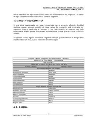 REVISIÓN Y AJUSTE EOT MUNICIPIO DE SUBACHOQUE
                                                            DOCUMENTO DE DIAGNÓSTICO


utiliza mezclado con agua como colirio contra las ulceraciones de los párpados. Los baños
de agua con semillas machadas curan la sarna de los perros.

4.2.2.USOS Y PROBLEMÁTICA

Es una zona caracterizada por áreas intervenidas, no se presenta suficiente densidad
florística, quedan algunos vestigios de flora nativa, la vegetación está dominada por
gramíneas (pastos) dedicadas al pastoreo y con preocupación se observa muy baja
cobertura de árboles ya que desaparecen las manchas de bosque y se reducen a individuos
aislados,

El siguiente cuadro registra las especies vegetales comunes que caracterizan el Bosque Seco
Montano Bajo (Bs-MB), que ya no existen en el municipio:




                        Revisión y Ajuste al Esquema de Ordenamiento Territorial
                                Municipio de Subachoque, Cundinamarca
                                              DIAGNÓSTICO
                          Cuadro No. 26. ESPECIES DE FLORA EN EXTINCIÓN
                 Nombre Científico                                     Nombre Común
                                    Bosque Seco Montano Bajo (bs-MB)
Ambrosia                                            Altamisa
Bryophyllum pinnatum                                Hoja Santa
Cassia tomentosa                                    Alcaparro
Juglans neotropica                                  Nogal
Schinus molle                                       Pimiento
Spartium junceum                                    Retamo
Salix babylonica                                    Sauces
Alnus jorullensis                                   Alisos
                                  Bosque Húmedo Montano Bajo (bh-MB)
Befaria aestuans                                    Carbonero
Escallonia paniculata                               Chilco colorado
Myrica puberscens                                   Olivo
Quercus humboldtii                                  Roble
Roupala                                             Gallinazo
Asplenium praemorum                                 Helecho
Cissus rhombifolia                                  Bejuco
Fragaria indica                                     Fresa


4.3. FAUNA

                                                  44
MUNICIPIO DE SUBACHOQUE                                                               CIDETER LTDA.
 