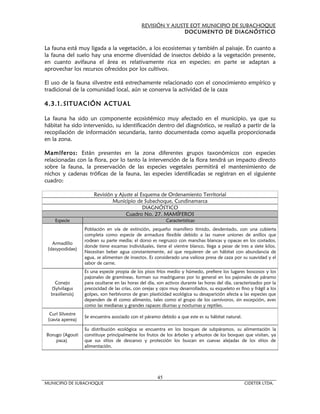 REVISIÓN Y AJUSTE EOT MUNICIPIO DE SUBACHOQUE
                                                               DOCUMENTO DE DIAGNÓSTICO


La fauna está muy ligada a la vegetación, a los ecosistemas y también al paisaje. En cuanto a
la fauna del suelo hay una enorme diversidad de insectos debido a la vegetación presente,
en cuanto avifauna el área es relativamente rica en especies; en parte se adaptan a
aprovechar los recursos ofrecidos por los cultivos.

El uso de la fauna silvestre está estrechamente relacionado con el conocimiento empírico y
tradicional de la comunidad local, aún se conserva la actividad de la caza

4.3.1. SITUACIÓN ACTUAL

La fauna ha sido un componente ecosistémico muy afectado en el municipio, ya que su
hábitat ha sido intervenido, su identificación dentro del diagnóstico, se realizó a partir de la
recopilación de información secundaria, tanto documentada como aquella proporcionada
en la zona.

Mamíferos: Están presentes en la zona diferentes grupos taxonómicos con especies
relacionadas con la flora, por lo tanto la intervención de la flora tendrá un impacto directo
sobre la fauna, la preservación de las especies vegetales permitirá el mantenimiento de
nichos y cadenas tróficas de la fauna, las especies identificadas se registran en el siguiente
cuadro:

                       Revisión y Ajuste al Esquema de Ordenamiento Territorial
                               Municipio de Subachoque, Cundinamarca
                                             DIAGNÓSTICO
                                     Cuadro No. 27. MAMÍFEROS
    Especie                                                 Características
                   Población en vía de extinción, pequeño mamífero tímido, desdentado, con una cubierta
                   completa como especie de armadura flexible debido a las nueve uniones de anillos que
                   rodean su parte media; el dorso es negruzco con manchas blancas y opacas en los costados,
   Armadillo
                   donde tiene escamas individuales, tiene el vientre blanco, llega a pesar de tres a siete kilos.
 (dasypodidae)
                   Necesitan beber agua constantemente, así que requieren de un hábitat con abundancia de
                   agua, se alimentan de insectos. Es considerado una valiosa presa de caza por su suavidad y el
                   sabor de carne.
                   Es una especie propia de los pisos fríos medio y húmedo, prefiere los lugares boscosos y los
                   pajonales de gramíneas, forman sus madrigueras por lo general en los pajonales de páramo
    Conejo         para ocultarse en las horas del día, son activos durante las horas del día, caracterizados por la
  (Sylvilagus      precocidad de las crías, con orejas y ojos muy desarrollados, su esqueleto es fino y frágil a los
  brasiliensis)    golpes, son herbívoros de gran plasticidad ecológica su desaparición afecta a las especies que
                   dependen de él como alimento, tales como el grupo de los carnívoros, sin excepción, aves
                   como las medianas y grandes rapaces diurnas y nocturnas y reptiles.
  Curí Silvestre
                   Se encuentra asociado con el páramo debido a que este es su hábitat natural.
 (cavia aperea)

                   Su distribución ecológica se encuentra en los bosques de subpáramos, su alimentación la
Borugo (Agouti     constituye principalmente los frutos de los árboles y arbustos de los bosques que visitan, ya
    paca)          que sus sitios de descanso y protección los buscan en cuevas alejadas de los sitios de
                   alimentación.




                                                       45
MUNICIPIO DE SUBACHOQUE                                                                            CIDETER LTDA.
 
