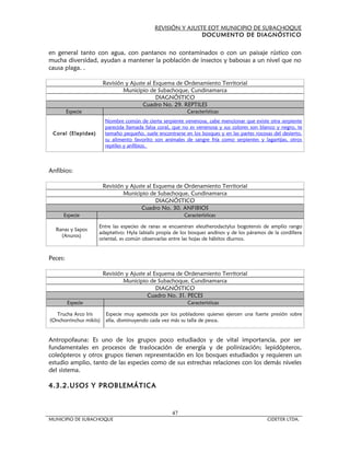 REVISIÓN Y AJUSTE EOT MUNICIPIO DE SUBACHOQUE
                                                              DOCUMENTO DE DIAGNÓSTICO


en general tanto con agua, con pantanos no contaminados o con un paisaje rústico con
mucha diversidad, ayudan a mantener la población de insectos y babosas a un nivel que no
causa plaga. .

                         Revisión y Ajuste al Esquema de Ordenamiento Territorial
                                 Municipio de Subachoque, Cundinamarca
                                               DIAGNÓSTICO
                                         Cuadro No. 29. REPTILES
         Especie                                            Características
                         Nombre común de cierta serpiente venenosa, cabe mencionar que existe otra serpiente
                         parecida llamada falsa coral, que no es venenosa y sus colores son blanco y negro, te
 Coral (Elapidae)        tamaño pequeño, suele encontrarse en los bosques y en las partes rocosas del desierto.
                         su alimento favorito son animales de sangre fría como serpientes y lagartijas, otros
                         reptiles y anfibios.



Anfibios:

                         Revisión y Ajuste al Esquema de Ordenamiento Territorial
                                 Municipio de Subachoque, Cundinamarca
                                               DIAGNÓSTICO
                                         Cuadro No. 30. ANFIBIOS
      Especie                                              Características

                     Entre las especies de ranas se encuentran eleutherodactylus bogotensis de amplio rango
  Ranas y Sapos
                     adaptativo; Hyla labialis propia de los bosques andinos y de los páramos de la cordillera
    (Anuros)
                     oriental, es común observarlas entre las hojas de hábitos diurnos.


Peces:

                         Revisión y Ajuste al Esquema de Ordenamiento Territorial
                                 Municipio de Subachoque, Cundinamarca
                                               DIAGNÓSTICO
                                           Cuadro No. 31. PECES
         Especie                                             Características

   Trucha Arco Iris       Especie muy apetecida por los pobladores quienes ejercen una fuerte presión sobre
(Onchorrinchus mikiis)    ella, disminuyendo cada vez más su talla de pesca.


Antropofauna: Es uno de los grupos poco estudiados y de vital importancia, por ser
fundamentales en procesos de traslocación de energía y de polinización; lepidópteros,
coleópteros y otros grupos tienen representación en los bosques estudiados y requieren un
estudio amplio, tanto de las especies como de sus estrechas relaciones con los demás niveles
del sistema.

4.3.2.USOS Y PROBLEMÁTICA


                                                      47
MUNICIPIO DE SUBACHOQUE                                                                        CIDETER LTDA.
 