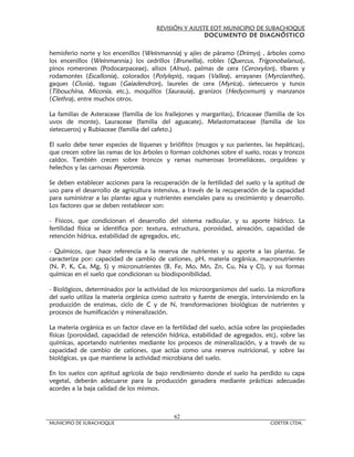 REVISIÓN Y AJUSTE EOT MUNICIPIO DE SUBACHOQUE
                                                       DOCUMENTO DE DIAGNÓSTICO


hemisferio norte y los encenillos (Weinmannia) y ajíes de páramo (Drimys) , árboles como
los encenillos (Weinmannia.) los cedrillos (Brunellia), robles (Quercus, Trigonobalanus),
pinos romerones (Podocarpaceae), alisos (Alnus), palmas de cera (Ceroxylon), tíbares y
rodamontes (Escallonia), colorados (Polylepis), raques (Vallea), arrayanes (Myrcianthes),
gaques (Clusia), taguas (Gaiadendron), laureles de cera (Myrica), sietecueros y tunos
(Tibouchina, Miconia, etc.), moquillos (Saurauia), granizos (Hedyosmum) y manzanos
(Clethra), entre muchos otros.

La familias de Asteraceae (familia de los frailejones y margaritas), Ericaceae (familia de los
uvos de monte), Lauraceae (familia del aguacate), Melastomataceae (familia de los
sietecueros) y Rubiaceae (familia del cafeto.)

El suelo debe tener especies de líquenes y briófitos (musgos y sus parientes, las hepáticas),
que crecen sobre las ramas de los árboles o forman colchones sobre el suelo, rocas y troncos
caídos. También crecen sobre troncos y ramas numerosas bromeliáceas, orquídeas y
helechos y las carnosas Peperomia.

Se deben establecer acciones para la recuperación de la fertilidad del suelo y la aptitud de
uso para el desarrollo de agricultura intensiva, a través de la recuperación de la capacidad
para suministrar a las plantas agua y nutrientes esenciales para su crecimiento y desarrollo.
Los factores que se deben restablecer son:

- Físicos, que condicionan el desarrollo del sistema radicular, y su aporte hídrico. La
fertilidad física se identifica por: textura, estructura, porosidad, aireación, capacidad de
retención hídrica, estabilidad de agregados, etc.

- Químicos, que hace referencia a la reserva de nutrientes y su aporte a las plantas. Se
caracteriza por: capacidad de cambio de cationes, pH, materia orgánica, macronutrientes
(N, P, K, Ca, Mg, S) y micronutrientes (B, Fe, Mo, Mn, Zn, Cu, Na y Cl), y sus formas
químicas en el suelo que condicionan su biodisponibilidad.

- Biológicos, determinados por la actividad de los microorganismos del suelo. La microflora
del suelo utiliza la materia orgánica como sustrato y fuente de energía, interviniendo en la
producción de enzimas, ciclo de C y de N, transformaciones biológicas de nutrientes y
procesos de humificación y mineralización.

La materia orgánica es un factor clave en la fertilidad del suelo, actúa sobre las propiedades
físicas (porosidad, capacidad de retención hídrica, estabilidad de agregados, etc), sobre las
químicas, aportando nutrientes mediante los procesos de mineralización, y a través de su
capacidad de cambio de cationes, que actúa como una reserva nutricional, y sobre las
biológicas, ya que mantiene la actividad microbiana del suelo.

En los suelos con aptitud agrícola de bajo rendimiento donde el suelo ha perdido su capa
vegetal, deberán adecuarse para la producción ganadera mediante prácticas adecuadas
acordes a la baja calidad de los mismos.



                                             62
MUNICIPIO DE SUBACHOQUE                                                          CIDETER LTDA.
 