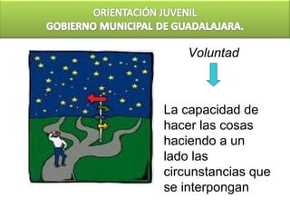 Voluntad



La capacidad de
hacer las cosas
haciendo a un
lado las
circunstancias que
se interpongan
 