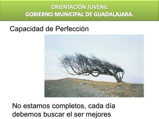 Capacidad de Perfección




No estamos completos, cada día
debemos buscar el ser mejores
 