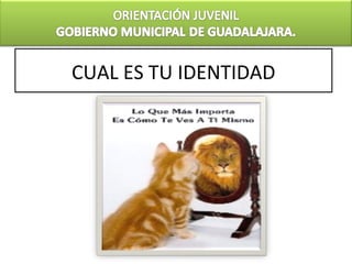 CUAL ES TU IDENTIDAD
 