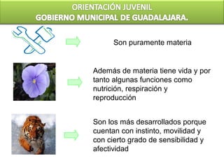 Son puramente materia


Además de materia tiene vida y por
tanto algunas funciones como
nutrición, respiración y
reproducción


Son los más desarrollados porque
cuentan con instinto, movilidad y
con cierto grado de sensibilidad y
afectividad
 