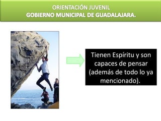 Tienen Espíritu y son
  capaces de pensar
(además de todo lo ya
    mencionado).
 