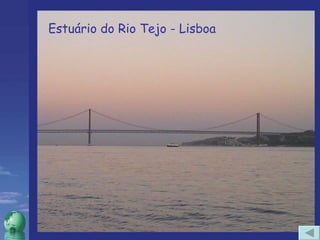 Estuário do Rio Tejo - Lisboa 