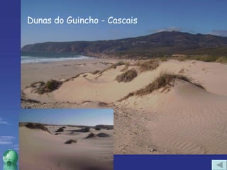 Dunas do Guincho - Cascais 