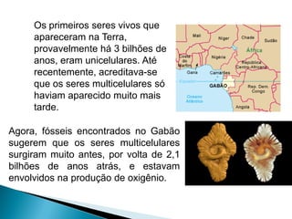 Os primeiros seres vivos que
     apareceram na Terra,
     provavelmente há 3 bilhões de
     anos, eram unicelulares. Até
     recentemente, acreditava-se
     que os seres multicelulares só
     haviam aparecido muito mais
     tarde.

Agora, fósseis encontrados no Gabão
sugerem que os seres multicelulares
surgiram muito antes, por volta de 2,1
bilhões de anos atrás, e estavam
envolvidos na produção de oxigênio.
 