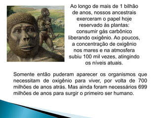 Ao longo de mais de 1 bilhão
                         de anos, nossos ancestrais
                           exerceram o papel hoje
                            reservado às plantas:
                           consumir gás carbônico
                      liberando oxigênio. Ao poucos,
                         a concentração de oxigênio
                          nos mares e na atmosfera
                       subiu 100 mil vezes, atingindo
                               os níveis atuais.

Somente então puderam aparecer os organismos que
necessitam de oxigênio para viver, por volta de 700
milhões de anos atrás. Mas ainda foram necessários 699
milhões de anos para surgir o primeiro ser humano.
 