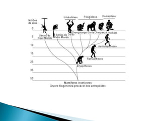 1 diversidade da vida