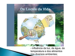 - influência da luz, da água, da
temperatura e dos alimentos
nos diversos ambientes;
 